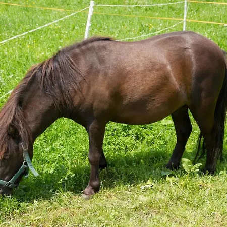 Farma Beim Rabenbauer - Chiemgau Karte Inzell
